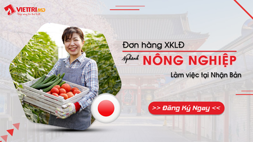 Đơn hàng ngành Nông Nghiệp