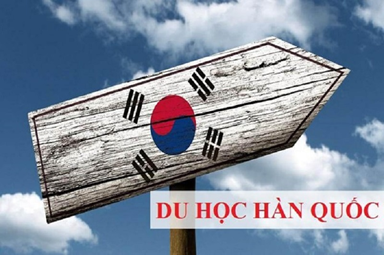 Nên chọn du học Hàn Quốc hệ cao đẳng hay đại học?