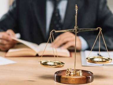 Tìm hiểu chương trình học thạc sĩ luật tại Hàn Quốc mới nhất 2025