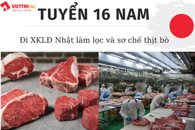 Tuyển 16 Nam đi Nhật làm đơn hàng Lọc và sơ chế thịt bò 2022