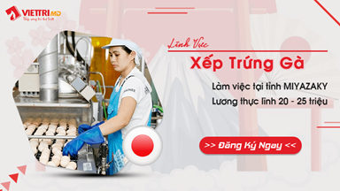 Xuất khẩu lao động Nhật Bản đơn hàng Xếp Trứng Gà 2022