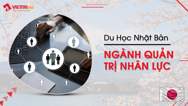 Du học Nhật Bản ngành Quản Trị Nhân Lực 2024