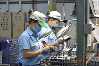 Cung Đình - Phở Hà Nội