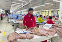 Xuất khẩu dệt may, da giày nhiều tín hiệu tích cực ngay từ đầu năm