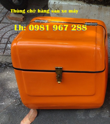 Thung-cho-hang-sau-xe-may(3).jpg