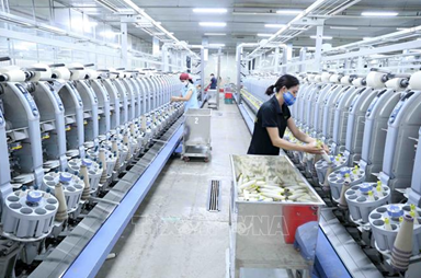 Dệt may xây dựng chuỗi cung ứng tự chủ sản xuất