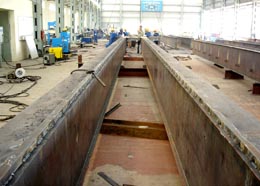 Cẩu tháp và các thiết bị nâng hạ 4