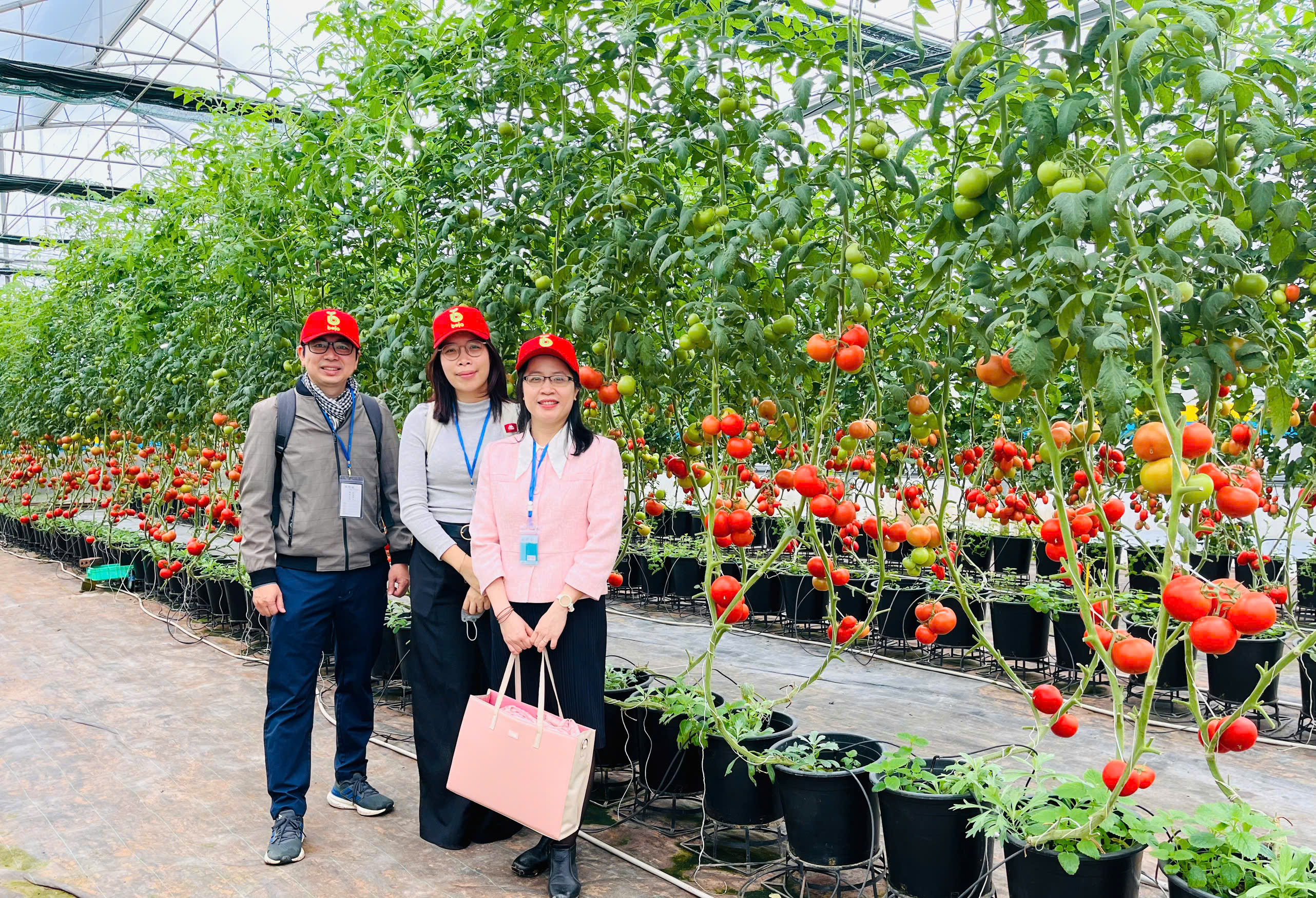 🌱 COLLABORATION IN RESEARCH AND DEVELOPMENT BETWEEN THE FACULTY OF AGRICULTURAL TECHNOLOGY AND BEJO VIETNAM CO., LTD. 🌱 1
