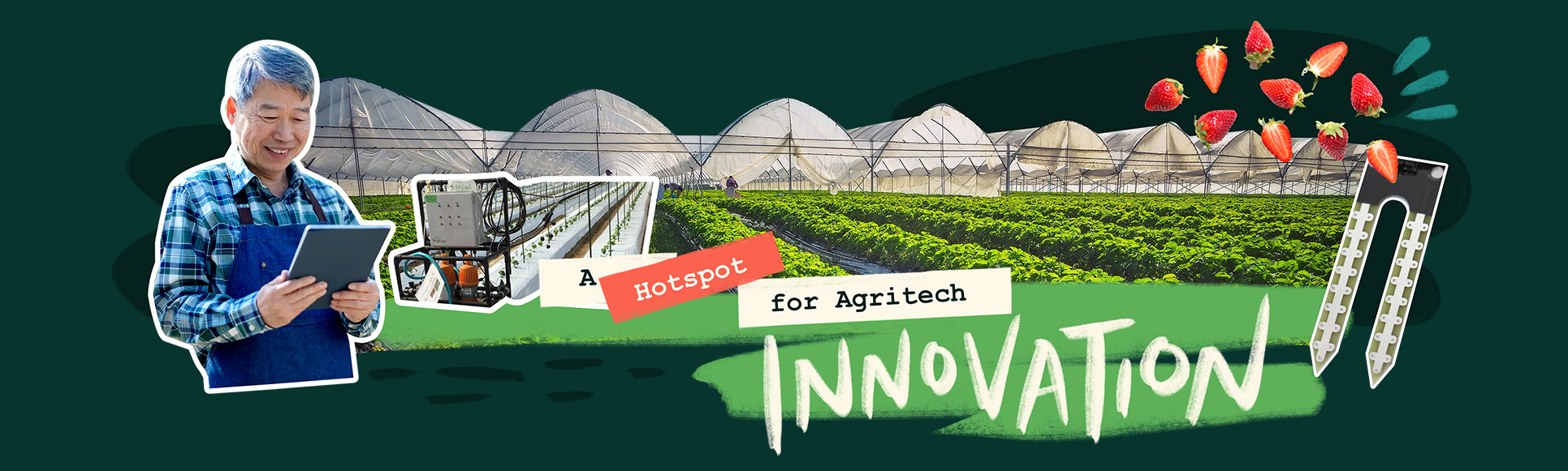 Japan: Where food security meets innovation 3