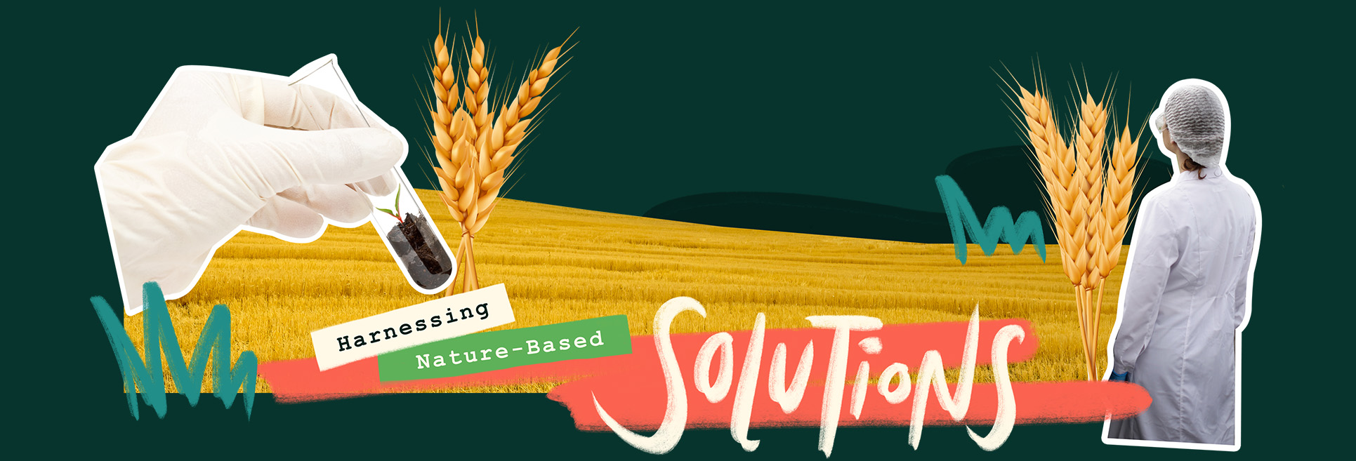 Japan: Where food security meets innovation 4