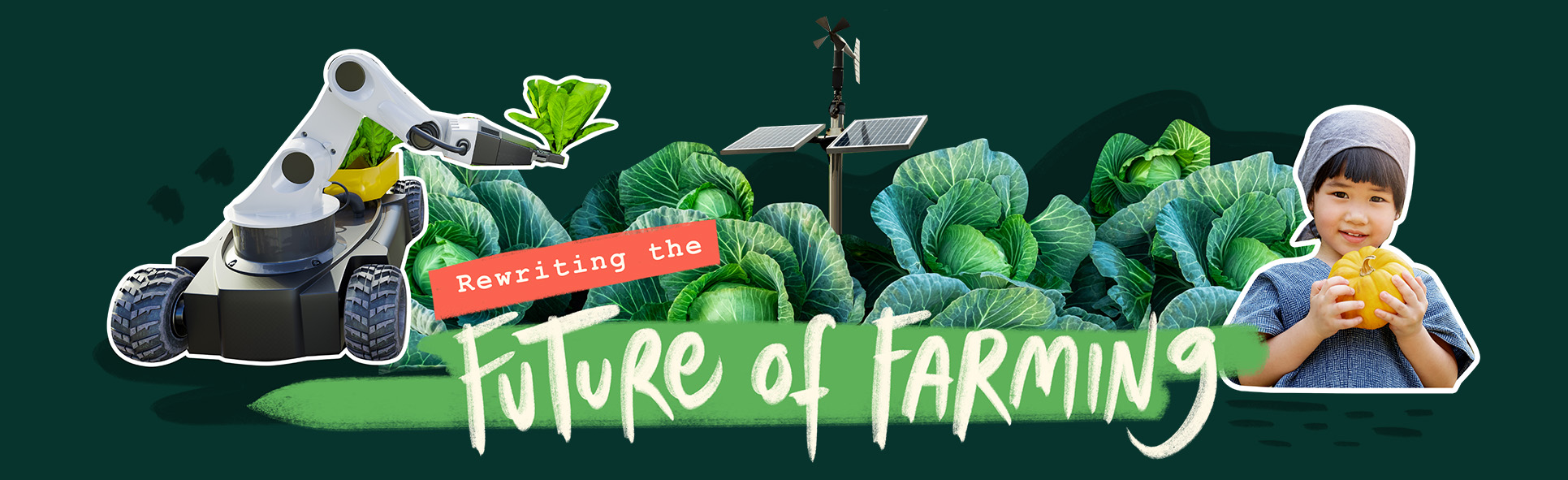 Japan: Where food security meets innovation 5