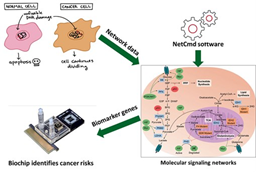 Giảng viên Đại học Công nghiệp Hà Nội công bố phương pháp xác định các gene chỉ dấu ung thư từ dữ liệu mạng tín hiệu tế bào người