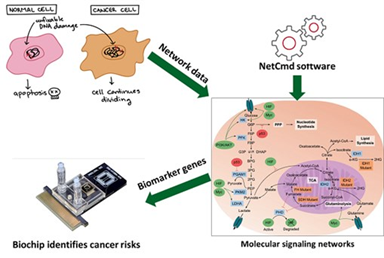 Giảng viên Đại học Công nghiệp Hà Nội công bố phương pháp xác định các gene chỉ dấu ung thư từ dữ liệu mạng tín hiệu tế bào người